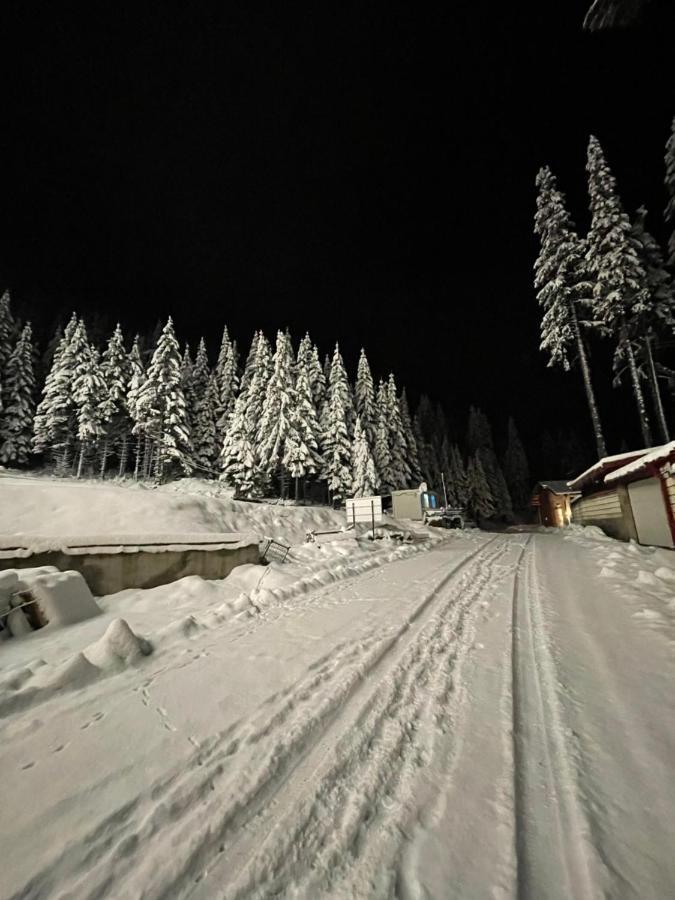 Cozy Apartment B35 In Grand Resort Pamporovo Buitenkant foto