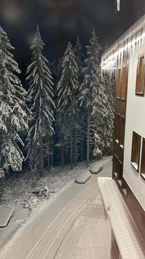 Cozy Apartment B35 In Grand Resort Pamporovo Buitenkant foto