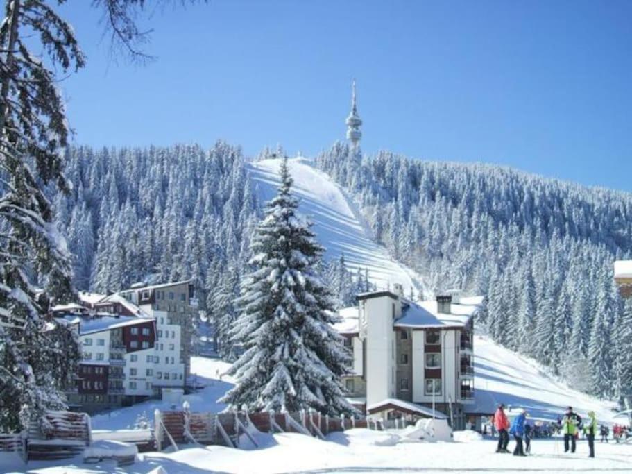 Cozy Apartment B35 In Grand Resort Pamporovo Buitenkant foto