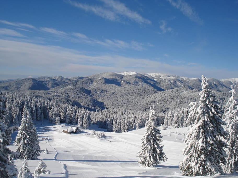 Cozy Apartment B35 In Grand Resort Pamporovo Buitenkant foto