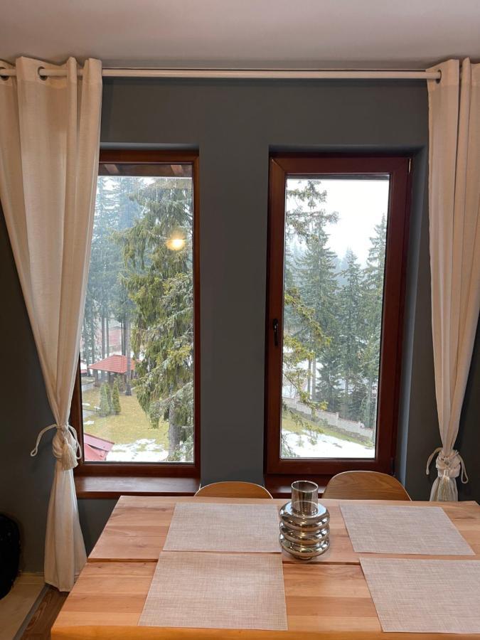 Cozy Apartment B35 In Grand Resort Pamporovo Buitenkant foto